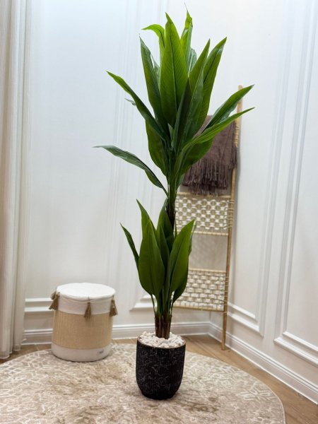 شجرة عصفورة الجنة